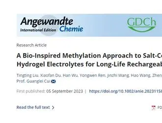 柔性鈉離子電池容量及穩(wěn)定性獲提升！新技術(shù)可防止電解質(zhì)鹽析……